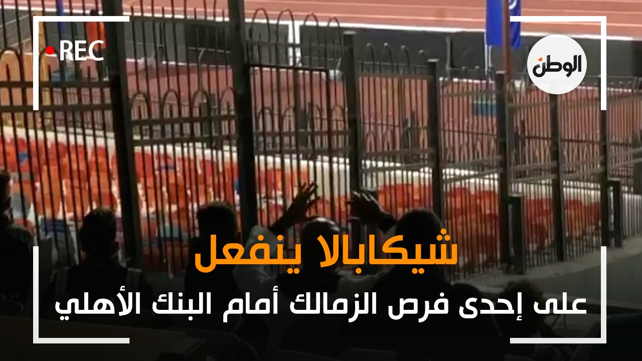 شيكابالا ينفعل على إحدى فرص الزمالك أمام البنك الأهلي