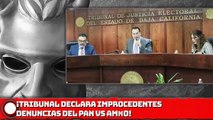 ¡Tribunal declara improcedentes denuncias del PAN vs. AMLO!