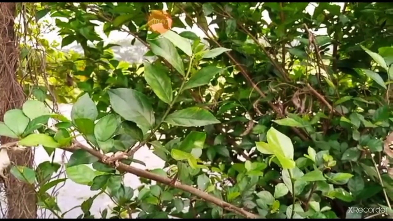 نقي قلبك المنظور الديني لمفهوم الحي والميت