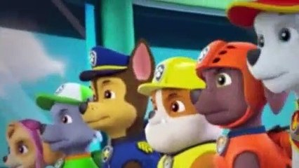 Paw Patrol S03E03 Pups Save The Soccer 
