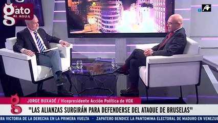 Entrevista completa Jorge Buxadé en El Gato al Agua | 22/11/21