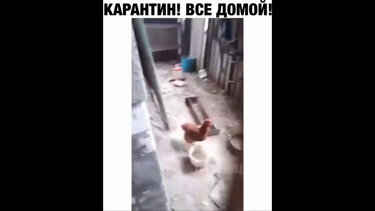 У нас карантин