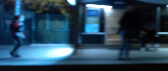 Grenoble  2021 #France #Isère #grenoble #grenoblecity #grenobletourisme #grenoblealpesmetropole #grenoblelife #francetourisme  (1)