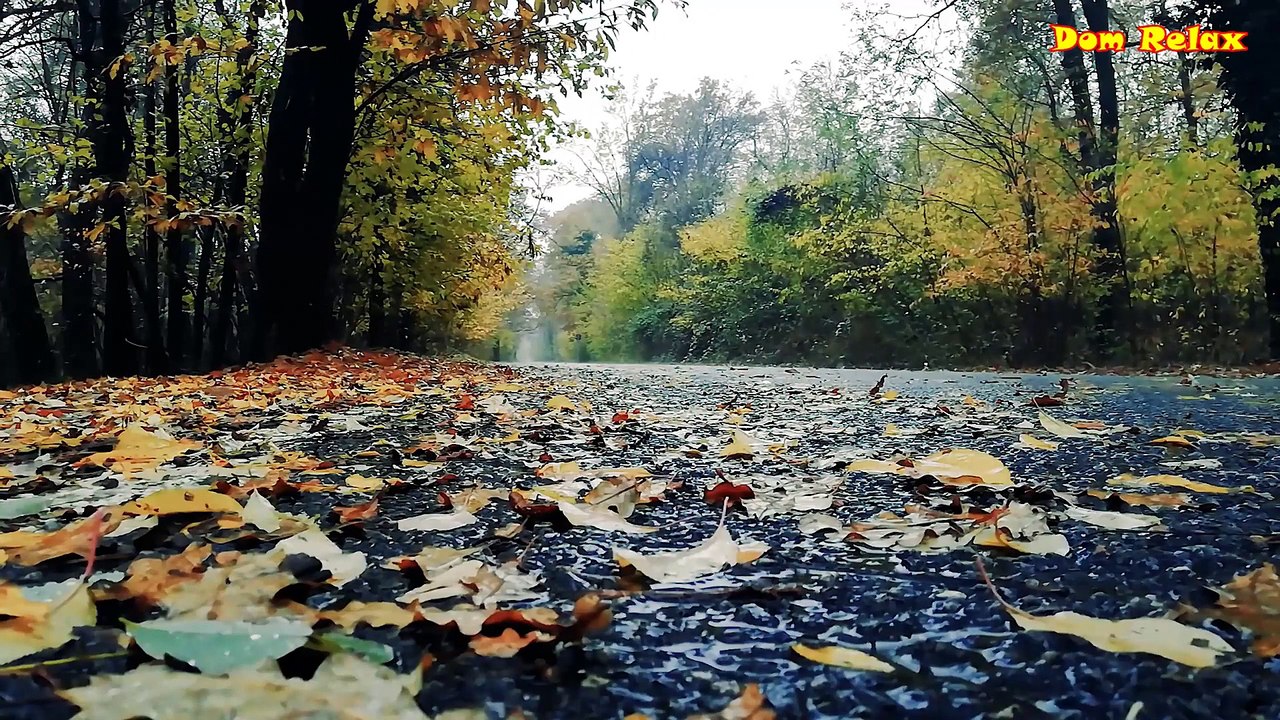 Nature Sounds ☁ Relaxing Rain Falling - Focus Or Deep Sleep - Nature White Noise