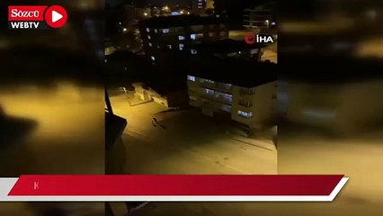 Ankara’da bir kişi köpeği tasmasıyla darp etti