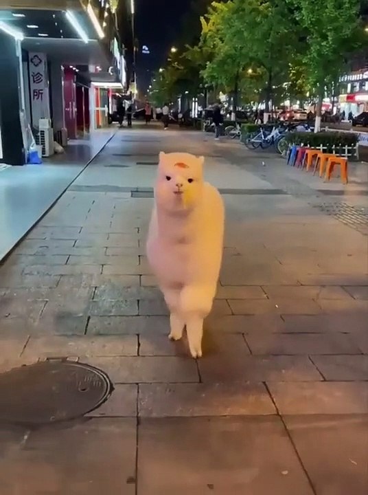 اللاما Lama