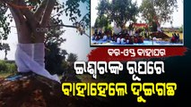 Special Story | Peepal And Neem Trees Marry In Odisha’s Kamakhyanagar For World Peace
