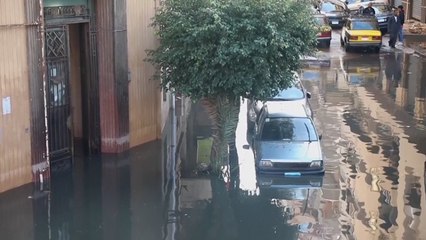 Sekolah di Alexandria Terpaksa Ditutup Akibat Banjir