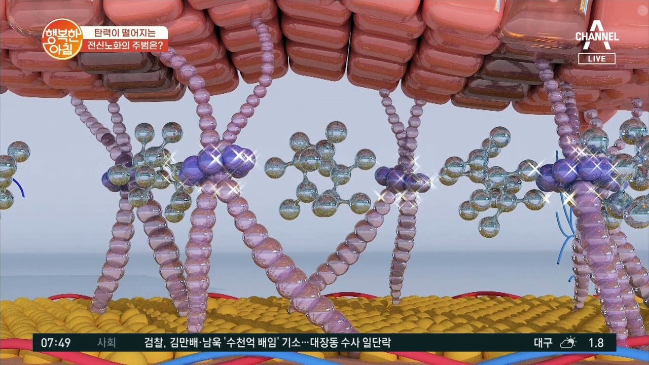 콜라겐 감소가 전신 노화의 원인? 피부 탄력 신경 써야 하는 이유