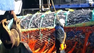 Modern Machine Technology | Catching And Processing - fishing technology