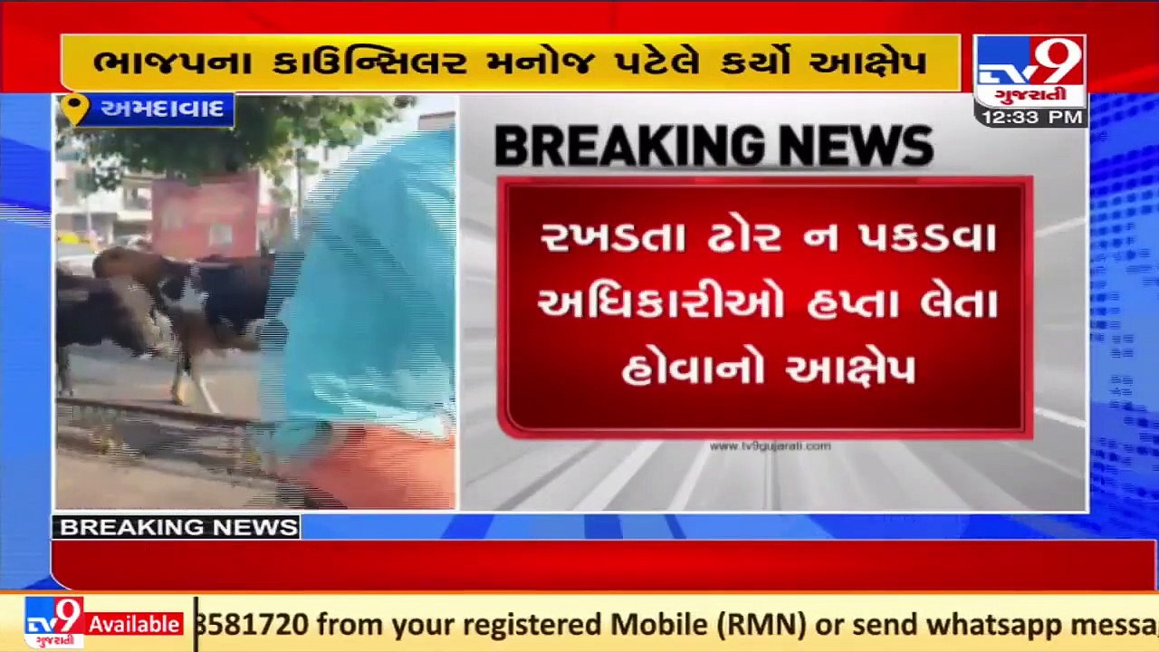 Cattle Nuisance Control Dept officials take bribe from cattle owners,BJP councilorManojPatel alleges