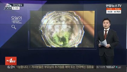 [대선상황실] 썩은술 vs 덜익은술 vs 잡탕술?