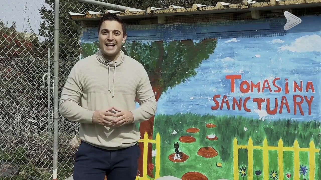 Animal Diaries - Season 10 Episode 7