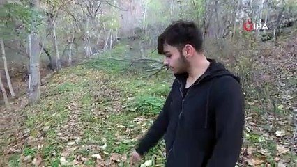 Ayı ile güreşen Tokatlı taburcu oldu, ayıdan haber yok