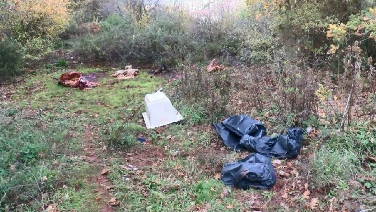 Orman içinde kesilmiş at parçaları bulundu