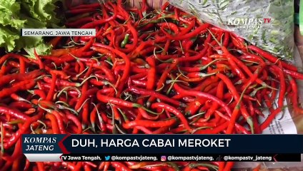Harga Cabai Meroket