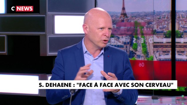 Stanislas Dehaene : «Il y a de l'intelligence partout dans le cerveau»