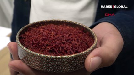 Kilosu 50 bin lirayı bulan safranda akılalmaz hile: At kılı