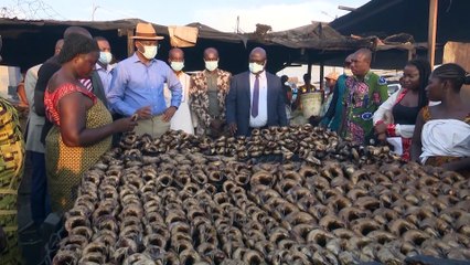 Le Ministre Sidi Tiémoko Touré visite des fumeuses de poissons à Vridi