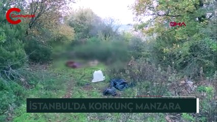 Sarıyer'de orman içinde kesilmiş atlara ait parçalar bulundu