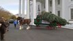 Llega a la Casa Blanca el árbol de Navidad y lo recibe la primera dama Jill Biden