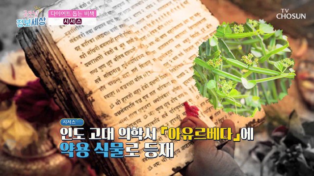 혈관 속 지방까지?✌ 다이어트+건강 한 번에 잡아줄 「●●」 TV CHOSUN 211123 방송