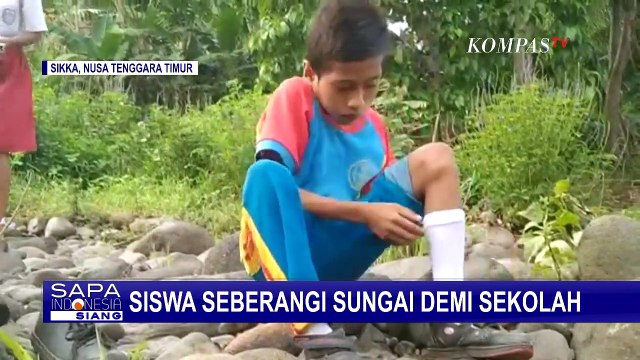 Tak Ada Jembatan, Puluhan Siswa SD di NTT Sebrangi Sungai Demi Pergi Sekolah