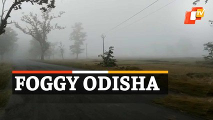 Heavy Fog Witnessed In Odisha, State Braces For Cold Wave & Chilling Winter