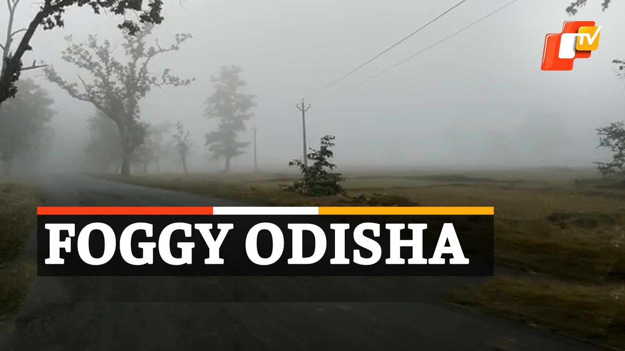 Heavy Fog Witnessed In Odisha, State Braces For Cold Wave & Chilling Winter
