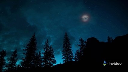 Let Me Down Slowly Lyrics - Alec Benjamin (Lyrical video ) S Gone