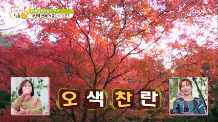 11년째 연애중 아직도 청춘 같은 부부의 비결 大공개★ TV CHOSUN 211123 방송