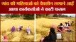 Asha Workers Harvested Crops In MP Video | वैक्सीन लगवाने के बहाने ग्रामीण महिलाओं ने कटवाई फसल