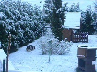 Sandy et Awen, 1ère neige 2008