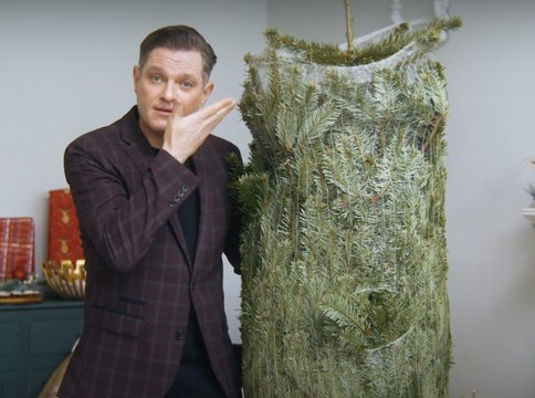 Top Tips for choosing the perfect tree for Christmas , masterclass with Mathew Horne