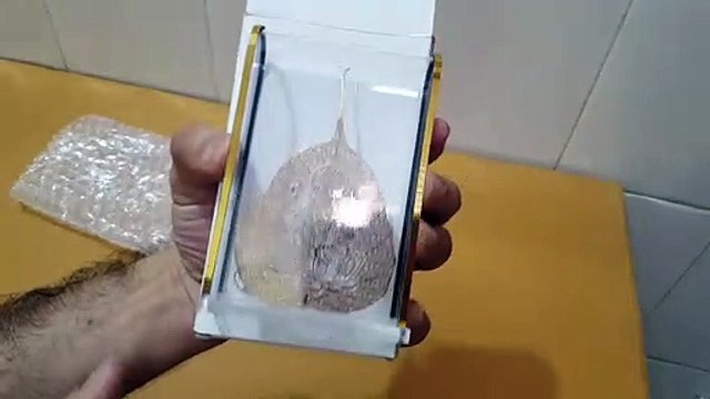 Unboxing and Review of Pipal Leaf with Gold Plated Ganesh Idol Lord Ganesha Ganesh Ganpati Car Dashboard