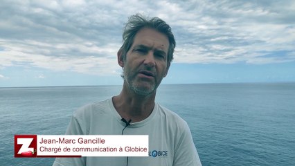 Cachalot échoué : Globice fait le point