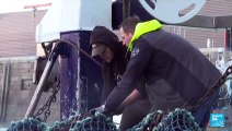 Licences post-Brexit : une action nationale des pêcheurs français en préparation