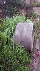 Astaghfirullah !! Hujan deras seharian.. Sungai ini meluap hingga membanjiri sawah petani