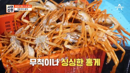 매일 새벽 20kg이 넘는 홍게를 운반하는 갑부! 하루 홍게 양은 총 5,000마리?!