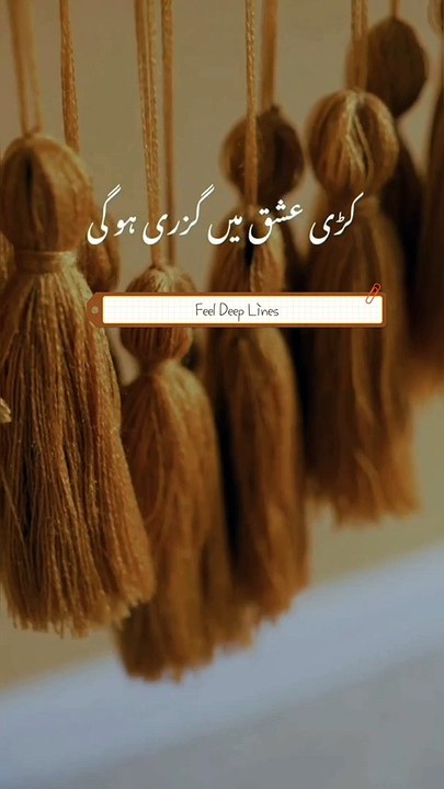 Urdu Song