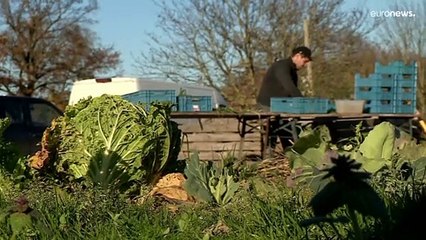 Il parlamento europeo vota la riforma della PAC, ma questa non piace a tutti gli agricoltori