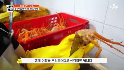 홍게를 매장에 가져오는 즉시 해주는 작업은? 홍게를 바닥에 버리는 갑부?!
