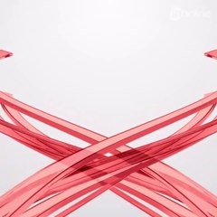 Calçada se rompe e pessoas caem em rio durante evento em Joinville