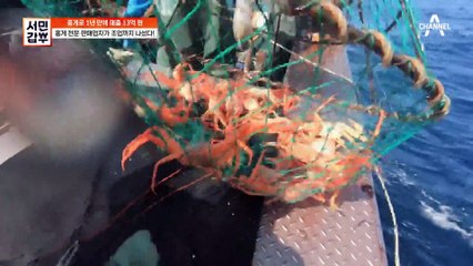 단지 홍게 도소매만 하는 게 아니다?! 조업까지 직접 나선 갑부!