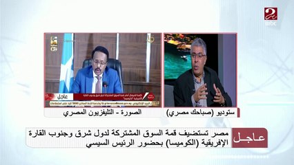 عماد الدين حسين: الصراعات المسلحة والجماعات المتطرفة تهدد استقرار دول القارة