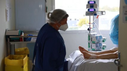 La OMS alerta de 700.000 muertes por covid-19 en Europa de aquí a marzo