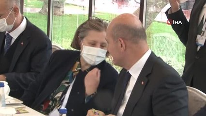 Bakan Soylu, Sırbistanlı mevkidaşı Vulin'le bir araya geldi