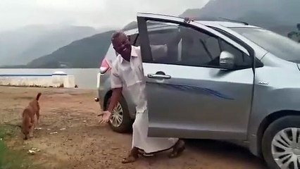 "ஹார்லிக்ஸா மாறிவிட நான் ரெடி.." பாடலுக்கு குத்தாட்டம் போட்ட திமுக நிர்வாகி  - வீடியோ