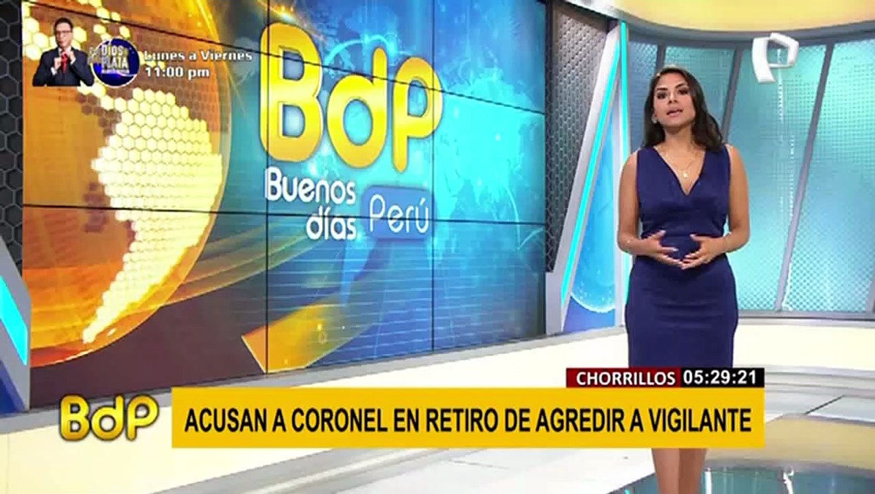 Chorrillos: decenas de gatos invaden la Huaca La Lechuza tras ser abandonados por dueños