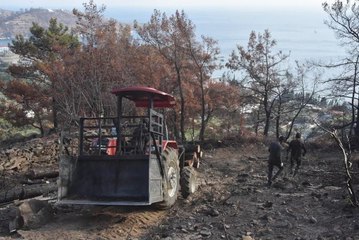 BODRUM VE MİLAS'TA YANAN SAHALAR TEMİZLENİYOR